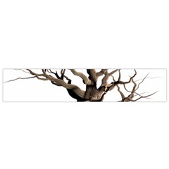 Tree Isolated Dead Plant Weathered Flano Scarf (small) by Nexatart