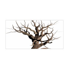 Tree Isolated Dead Plant Weathered Yoga Headband by Nexatart