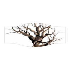 Tree Isolated Dead Plant Weathered Stretchable Headband