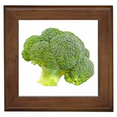 Broccoli Bunch Floret Fresh Food Framed Tiles by Nexatart