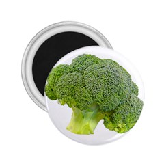 Broccoli Bunch Floret Fresh Food 2 25  Magnets by Nexatart