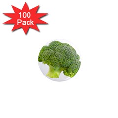 Broccoli Bunch Floret Fresh Food 1  Mini Magnets (100 Pack)  by Nexatart