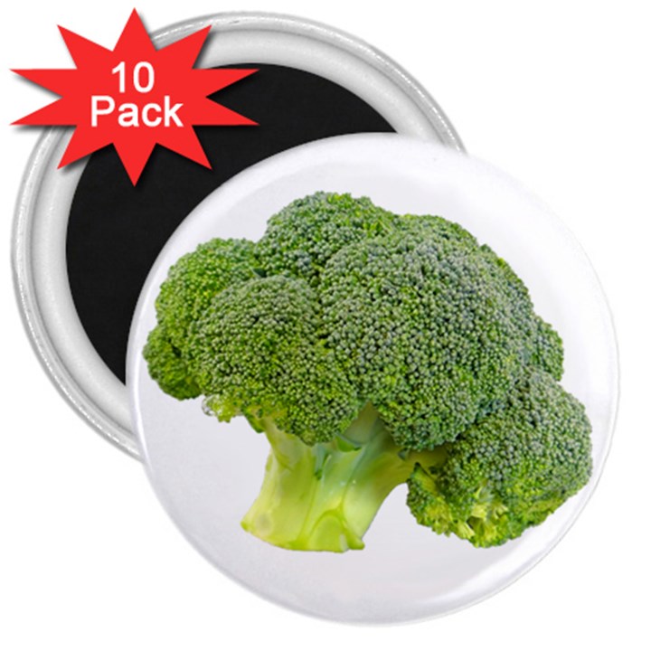 Broccoli Bunch Floret Fresh Food 3  Magnets (10 pack) 