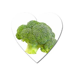 Broccoli Bunch Floret Fresh Food Heart Magnet by Nexatart