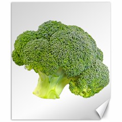 Broccoli Bunch Floret Fresh Food Canvas 8  X 10  by Nexatart