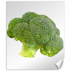 Broccoli Bunch Floret Fresh Food Canvas 20  X 24   by Nexatart