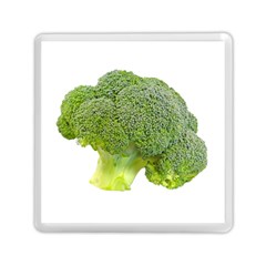 Broccoli Bunch Floret Fresh Food Memory Card Reader (square)  by Nexatart