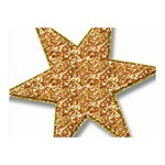 Star Glitter Double Sided Flano Blanket (Mini)  35 x27  Blanket Front