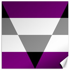 Aegosexual Autochorissexual Flag Canvas 12  X 12  