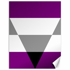 Aegosexual Autochorissexual Flag Canvas 12  X 16  