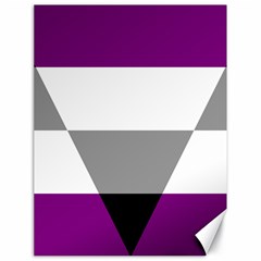 Aegosexual Autochorissexual Flag Canvas 18  X 24  