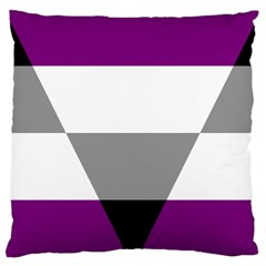 Aegosexual Autochorissexual Flag Large Cushion Case (one Side) by Mariart