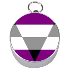 Aegosexual Autochorissexual Flag Silver Compasses by Mariart