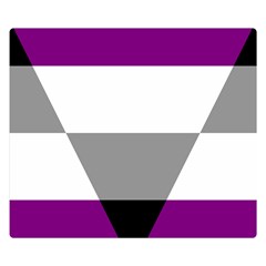 Aegosexual Autochorissexual Flag Double Sided Flano Blanket (small)  by Mariart