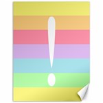 Condigender Flags Canvas 12  x 16   11.86 x15.41  Canvas - 1