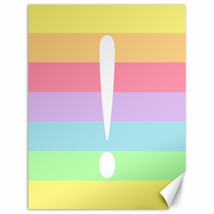 Condigender Flags Canvas 12  x 16  