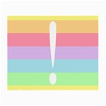 Condigender Flags Small Glasses Cloth (2-Side) Front