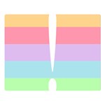 Condigender Flags Double Sided Flano Blanket (Large)  80 x60  Blanket Front