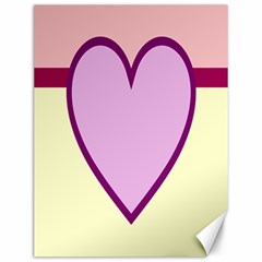 Cute Gender Gendercute Flags Love Heart Line Valentine Canvas 12  x 16  