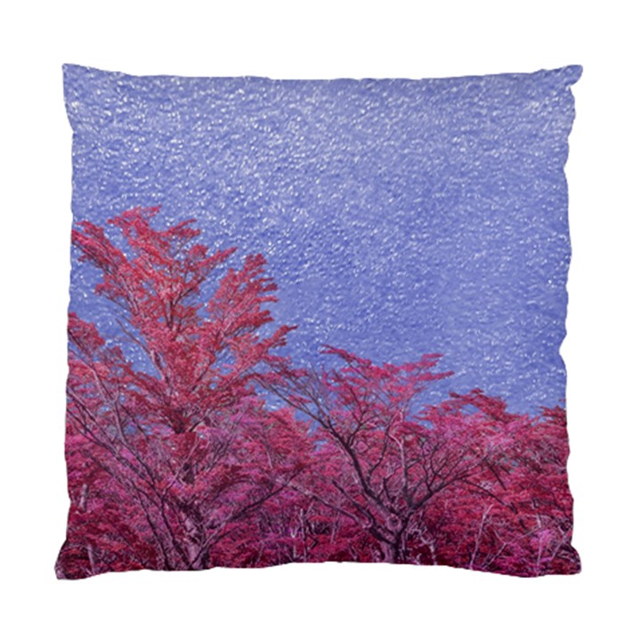 Fantasy Landscape Theme Poster Standard Cushion Case (Two Sides)