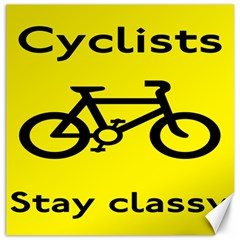 Stay Classy Bike Cyclists Sport Canvas 20  X 20  