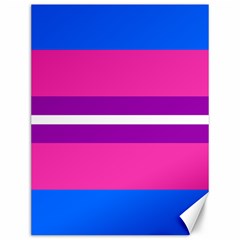 Transgender Flags Canvas 12  X 16  