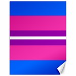 Transgender Flags Canvas 12  x 16   11.86 x15.41  Canvas - 1