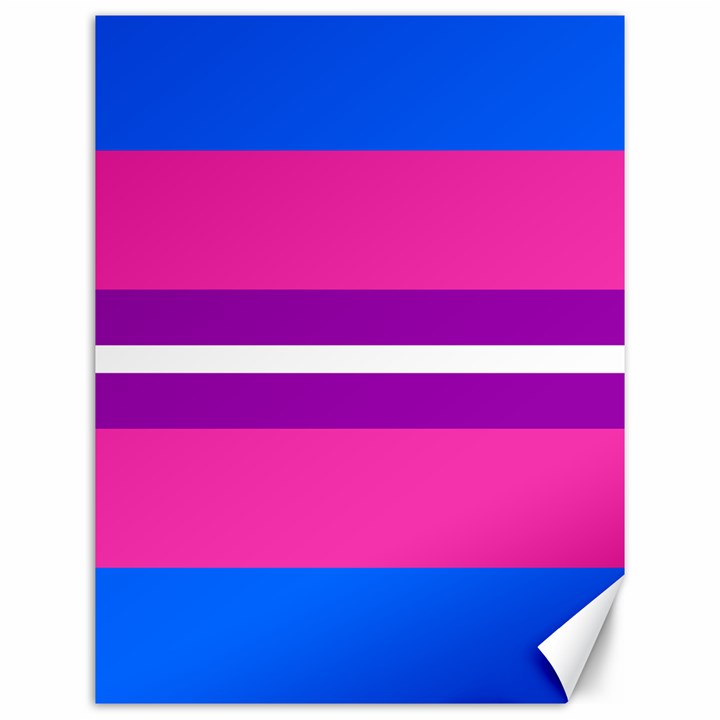 Transgender Flags Canvas 12  x 16  