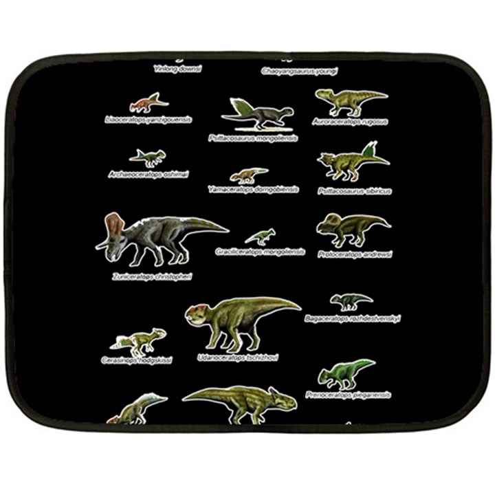 Dinosaurs names Fleece Blanket (Mini)