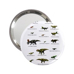 Dinosaurs Names 2 25  Handbag Mirrors by Valentinaart