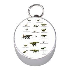 Dinosaurs Names Mini Silver Compasses by Valentinaart