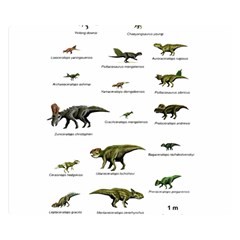 Dinosaurs Names Double Sided Flano Blanket (small)  by Valentinaart