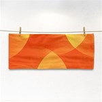 Abstract Orange Yellow Red Color Cosmetic Storage Cases Front