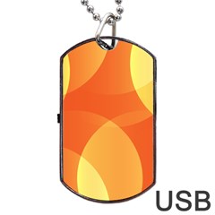 Abstract Orange Yellow Red Color Dog Tag Usb Flash (two Sides) by Nexatart