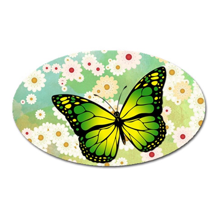 Green Butterfly Oval Magnet