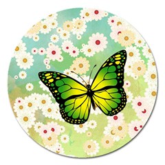 Green Butterfly Magnet 5  (round) by linceazul