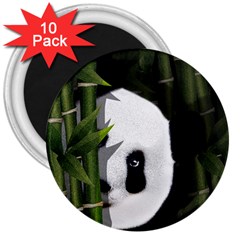 Panda 3  Magnets (10 Pack)  by Valentinaart