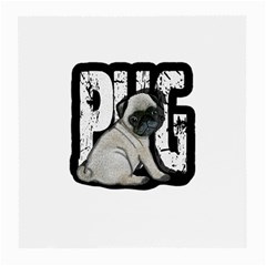 Pug Medium Glasses Cloth