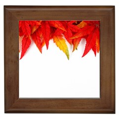 Abstract Autumn Background Bright Framed Tiles by Nexatart