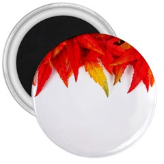 Abstract Autumn Background Bright 3  Magnets by Nexatart