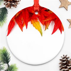 Abstract Autumn Background Bright Ornament (round) by Nexatart