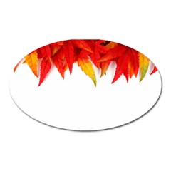 Abstract Autumn Background Bright Oval Magnet by Nexatart