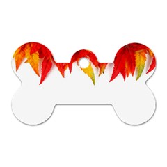 Abstract Autumn Background Bright Dog Tag Bone (one Side) by Nexatart