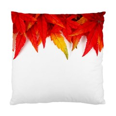 Abstract Autumn Background Bright Standard Cushion Case (two Sides) by Nexatart