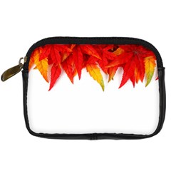 Abstract Autumn Background Bright Digital Camera Cases by Nexatart