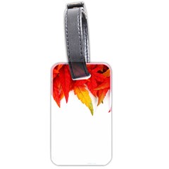 Abstract Autumn Background Bright Luggage Tags (two Sides) by Nexatart