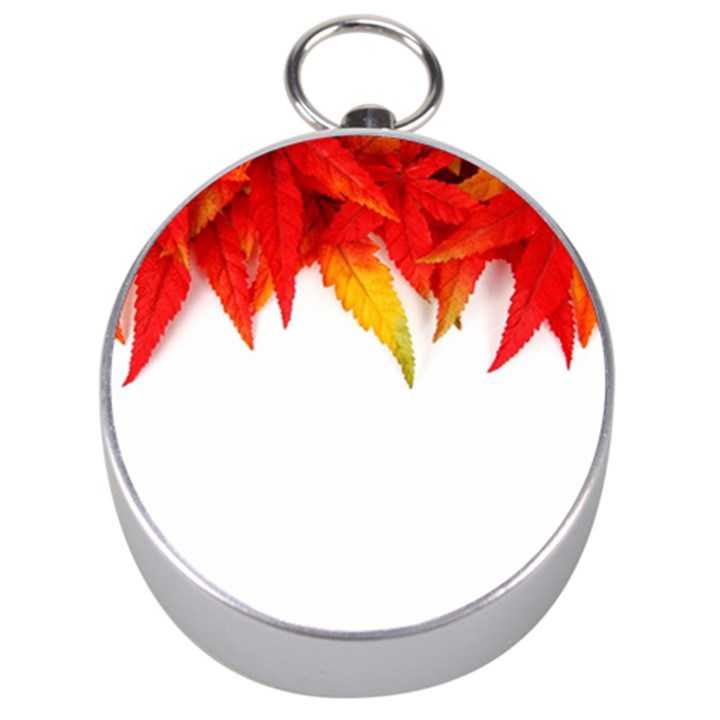 Abstract Autumn Background Bright Silver Compasses