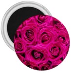 Pink Roses Roses Background 3  Magnets Front