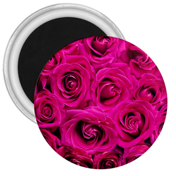 Pink Roses Roses Background 3  Magnets