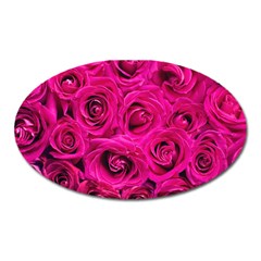 Pink Roses Roses Background Oval Magnet by Nexatart